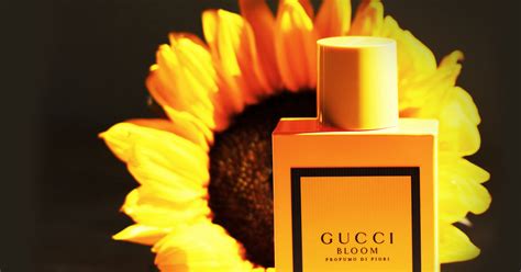 gucci bloom yellow review